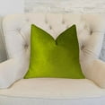 thumbnail image 2 of Plutus Contentement Coussin de Gazon, (Double Face 26 "x 26"), 2 of 2