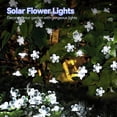 thumbnail image 3 of 2 Pack Solar Flower String Lights Outdoor 50 LED 23 FT, Juhefa Waterproof Fairy Light, Cherry Blossoms Lights for Christmas Tree, Patio, Garden, Fence, Bush Decorations (White), 3 of 7