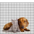 thumbnail image 4 of Black PVC Coated Welded Wire Mesh Garden Economy Fence 24 Inch x 50 Foot-1 Inch x 1 Inch 16GA, 4 of 5