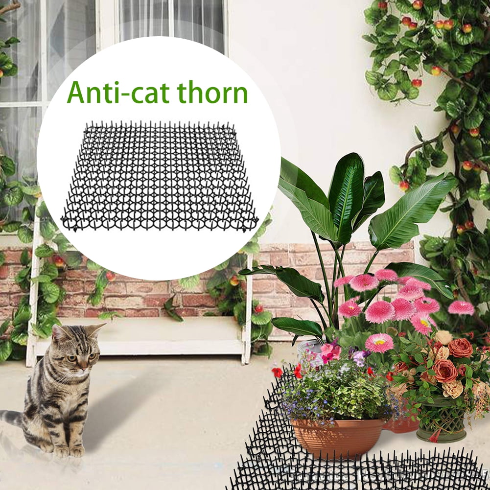 5 Pieces De Jardinage En Plastique Respectueux De L Environnement Anti Chat Epines Chat Et Chien Repulsif Pad Ongles En Plastique Walmart Canada 5 Pieces De Jardinage En Plastique Respectueux De L Environnement Anti Chat Epines Chat Et Chien Repulsif Pad Ongles En Plastique Walmart Canada