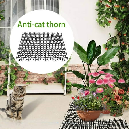 5 Pieces De Jardinage En Plastique Respectueux De L Environnement Anti Chat Epines Chat Et Chien Repulsif Pad Ongles En Plastique Walmart Canada