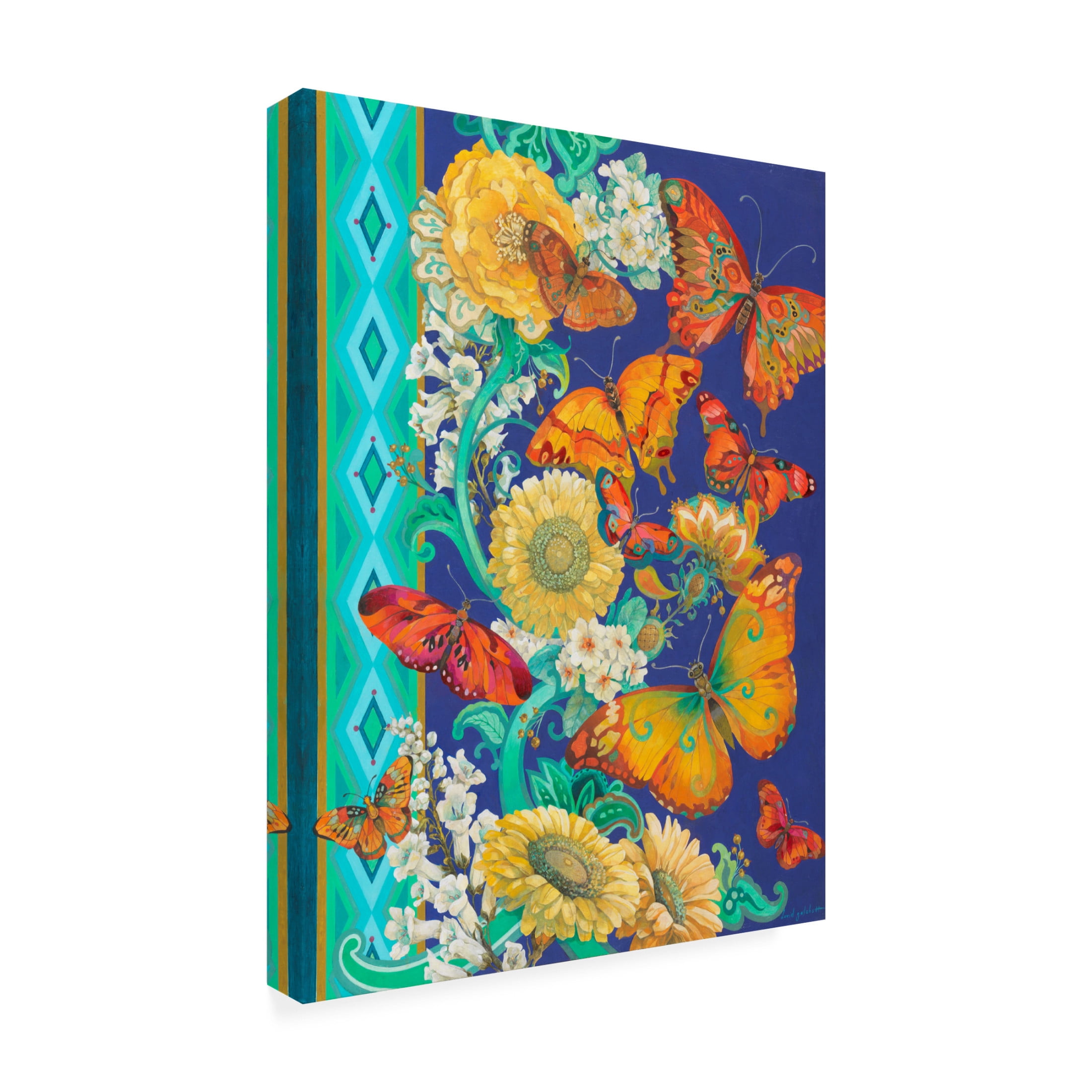 Canvas Wall Art - David Galchutt 'Fancy Flight' Wall Art for Living Room, Bedroom, or Office Décor by Trademark Fine Art - 14 x 19 Inches