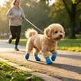thumbnail image 4 of CSStudio 4 Pack Non Slip Dog Socks with Adjustable Straps, Waterproof Rubber Bottom Pet Paw Protector Booties, Anti Licking Traction Shoes for Indoor Floor & Light Outdoor Walks, 4 of 5