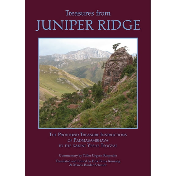 Treasures from Juniper Ridge, (Paperback)
