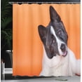 thumbnail image 3 of Ambesonne Dog Lover Shower Curtain, Akita on Orange, 69"Wx84"L, Orange Charcoal Grey, 3 of 4