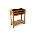 thumbnail image 1 of Algreen Products 32107 Lit de Jardin Surélevé Auto-Arrosant avec Roues - Ergogarden, 1 of 1