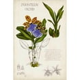 thumbnail image 3 of McCavitt, Naomi 11x14 Black Modern Framed Museum Art Print Titled - Orchid Field Notes II, 3 of 5