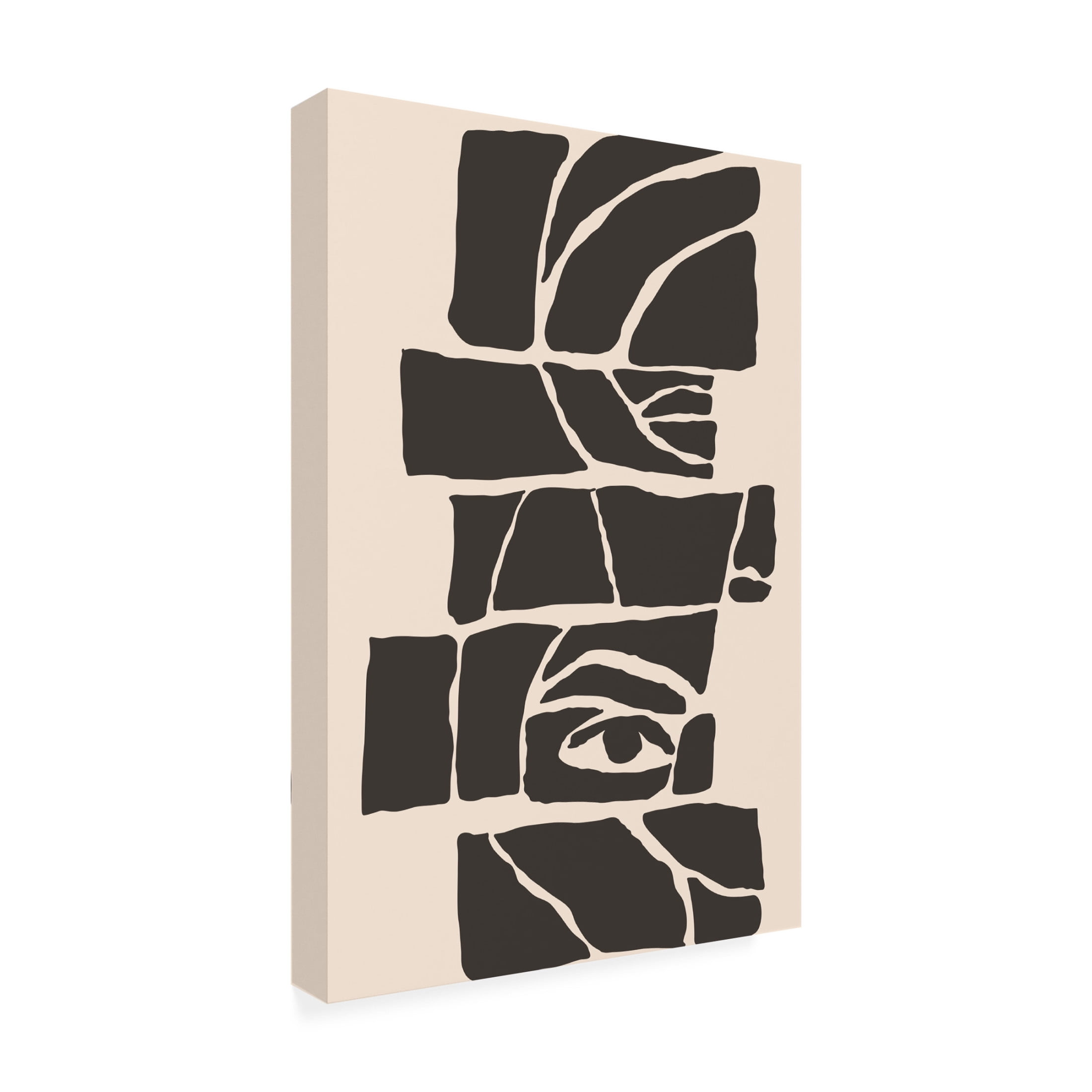 Trademark Fine Art jay stanley  Abstract Face 7 Canvas Wall Art