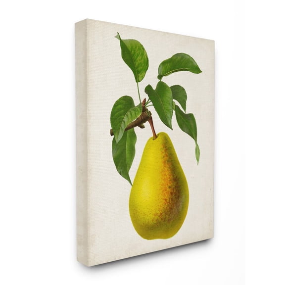 Stupell Industries Vintage Fruit Pear Painting Canvas Wall Art by Vision Studio