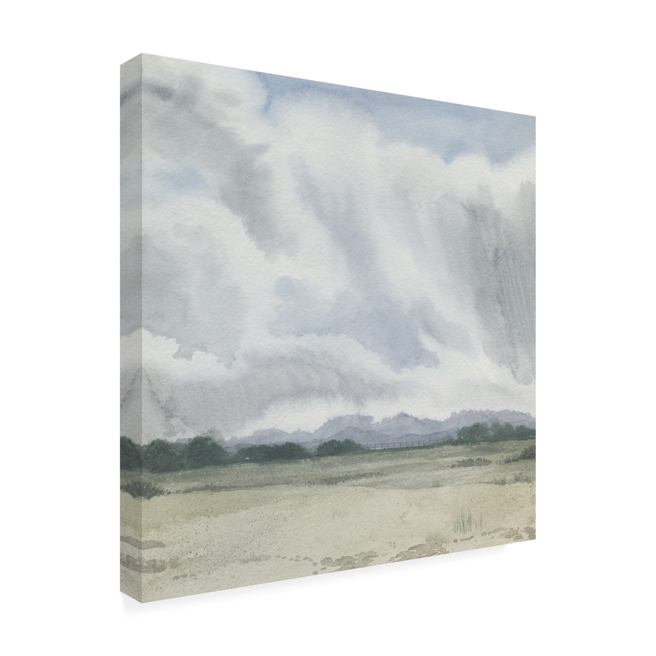 Trademark Fine Art Grace Popp  Shadows of a Storm I Canvas Wall Art