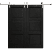 Modern Double Barn Door 36 x 80 inches | Ego 5010 Painted Black Oak | 13FT Silver Rail Track Set | Solid Panel Interior Doors