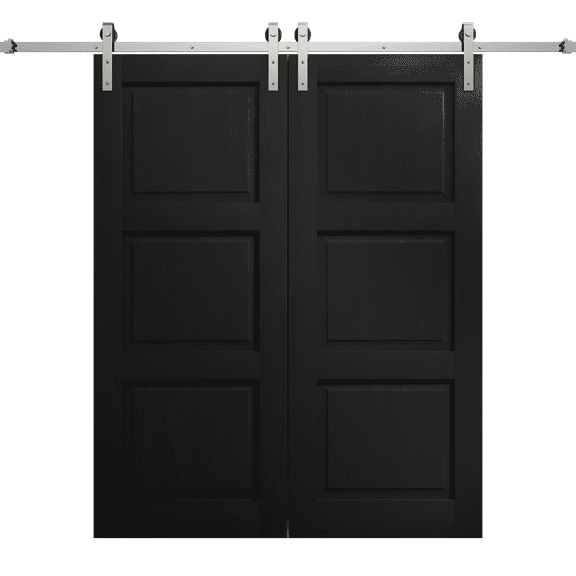 Modern Double Barn Door 36 x 80 inches | Ego 5010 Painted Black Oak | 13FT Silver Rail Track Set | Solid Panel Interior Doors