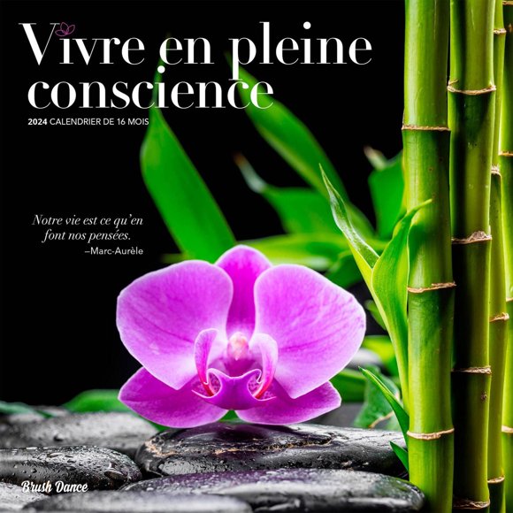 Vivre en Pleine Conscience 2024 30.48x60.96 CM Mur Carré Calendrier, 9781975470517