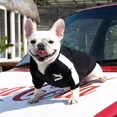 thumbnail image 4 of Ropa Para Perro Chaqueta De Béisbol Chaleco Suéter Mascotas, 4 of 8