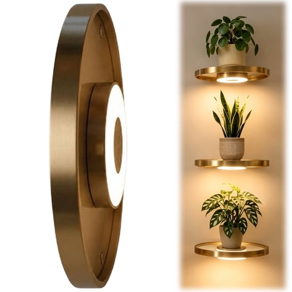 Floating Wall Shelf With Built In Ambient LED Light, Wall Mounted Display Shelf With Invisible Brackets For Home Decor Plants