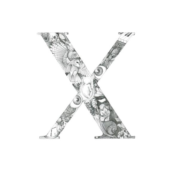 X, (Paperback)