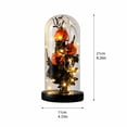 thumbnail image 3 of Halloween Skeleton Decorations, 8 Inch Light Up Halloween Decorations with Warm Fairy Lights, Gothic Halloween Decor Glass Cloche with Base for Indoor Home Party Table Display, 1, 3 of 6