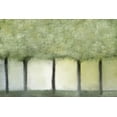 thumbnail image 2 of Kimberly, Allen 24x17 White Modern Wood Framed Museum Art Print Titled - Grove of Trees, 2 of 4