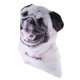 thumbnail image 5 of Dog Plush Toy Dog Shaped Pillow for Decoration Lovely Cartoon Design, 5 of 5