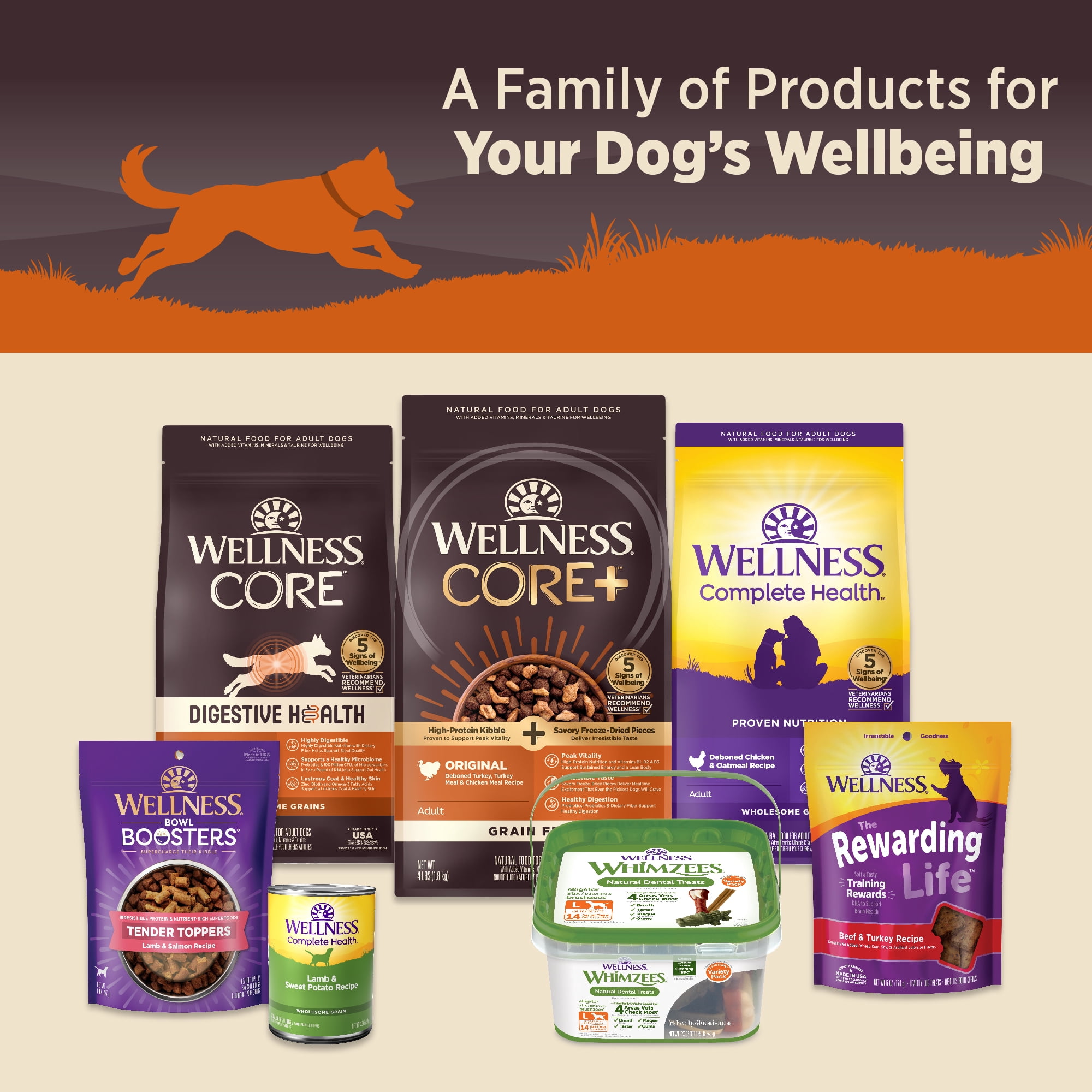 Wellness CORE Pate Adult Canned Wet Dog Food, Grain Free, Natural, Turkey and Chicken Recipe, 12.5 oz, Pack of 12 Cans