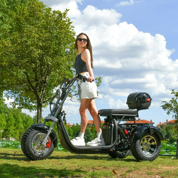 Ehoodax Adult Electric Tricycles CP3 60V20AH 3000W 18-Inch 1-Pack