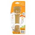 thumbnail image 4 of Nylabone Flexi Chew Gumabone Original Bone Chew Toy Chicken X-Large (1 Count), 4 of 13
