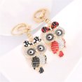 thumbnail image 1 of HOARBOEG Keychains for Men and Women Beautiful Owl Rhinestone Key Chain Crystal Purse Keychain Bag Key Ring, 1 of 8