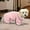 M, variant on Dog Towel Bath Robe, Breathable Pajamas Quick Drying Dog Bathrobe, Super Absorbent for Training Outdoor Bathing Indoor XS