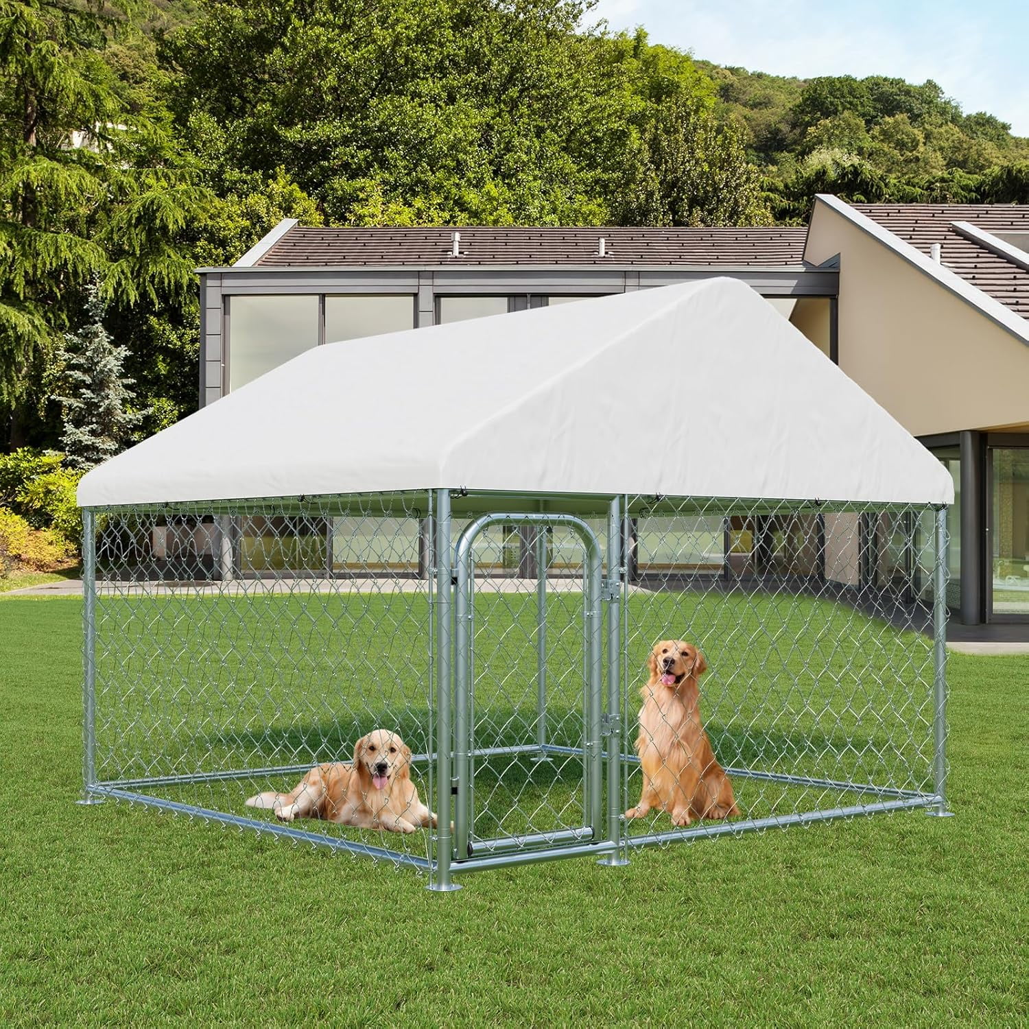 SELOOYE Outdoor Large Dog Kennel 6.6 x 6.6 FT, Heavy Duty Dog
