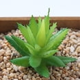 thumbnail image 3 of serony Pack of 12 Artificial Succulent Plant Decorative Simulation Plants Party Realistic Succulents Balcony Gift Color Random, 3 of 5