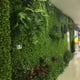 thumbnail image 4 of Plantas artificiales Decoración de pared Colgante al aire libre Plástico Falso hoja verde Fondo Decoración de boda, L Yuarrent HA005109-03, 4 of 6