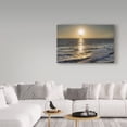 thumbnail image 3 of Trademark Fine Art 'Seagull Flying' Canvas Art by Giuseppe Torre, 3 of 3