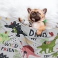 thumbnail image 3 of Sigee Cute Dinosaurs for Pet Blanket for Dog Cat Puppy Blanket Cat Blankets for Small and Medium Pets-Large, 3 of 8