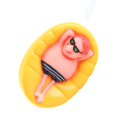 thumbnail image 5 of Floating Funny Cartoon Floating Pool Thermometer for Outdoor Indoor Swimming Pools Spa Pond, 5 of 5
