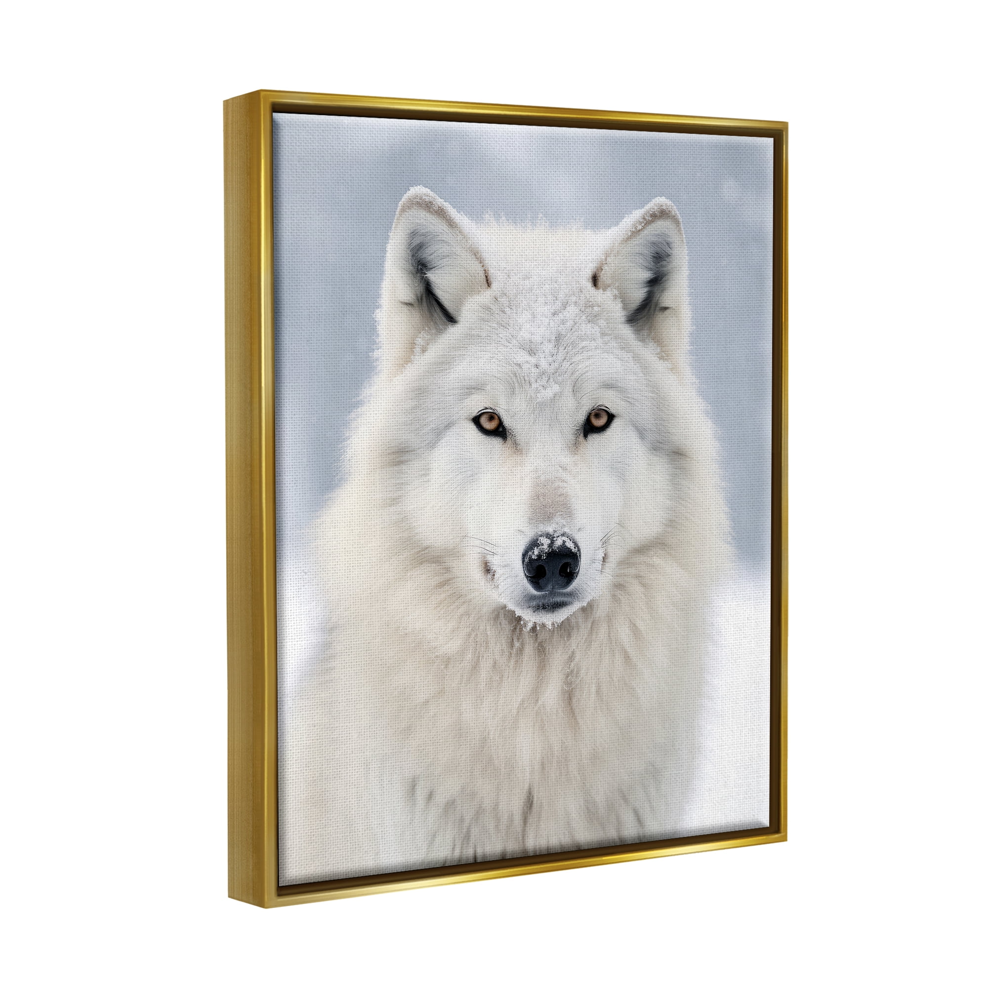 Stupell Industries White Wolf in Snow Animals & Insects Photography Gold Floater Framed Canvas Art Print Wall Art, 17 x 21
