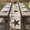 beige, variant on Table Runner 72 Inches Long for Kitchen Dining, Texas Star Red Dresser Scarf Farmhouse, Dining Table Decorations for Wedding/Parties, Farmhouse Berry Wooden Vintage 18 x 72 In
