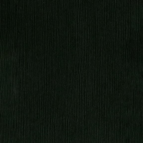 Bazzill Fourz Cardstock 12"X12"-Blackbird/Grasscloth