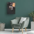 thumbnail image 3 of Canvas Wall Art - Fabien Bravin 'Last Ray' Wall Art for Living Room, Bedroom, or Office Décor by Trademark Fine Art - 30 x 47 Inches, 3 of 4