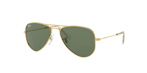 Sunglasses Ray-Ban Junior RJ 9506 S 223/71 Aviator Arista Dark Gre