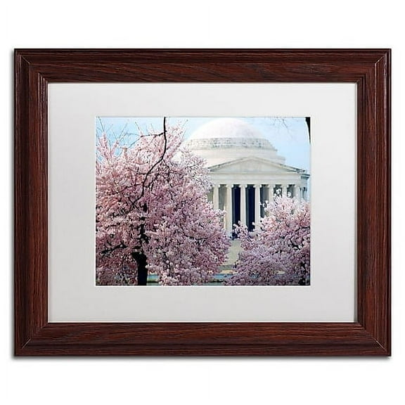 Trademark Fine Art "Cherry Blossoms 2014-7" Canvas Art by CATeyes, White Matte, Wood Frame