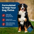 thumbnail image 5 of Blue Buffalo Life Protection Formula Natural Dry Dog Food, Beef & Brown Rice, 30-lb. Bag, 5 of 12