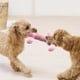 thumbnail image 1 of Mascotas Perro Felpa Masticar Juguetes Cachorro Squeaky Molar Suave Juguetes Interactivos (Rosa Grande), 1 of 7