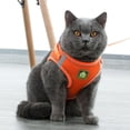 thumbnail image 3 of Arneses y correas para gatos Arnés antiescape para gatitos Arnés reflectante ajustable para gatos Chaleco transpirable Arnés para perros pequeños (M), 3 of 5