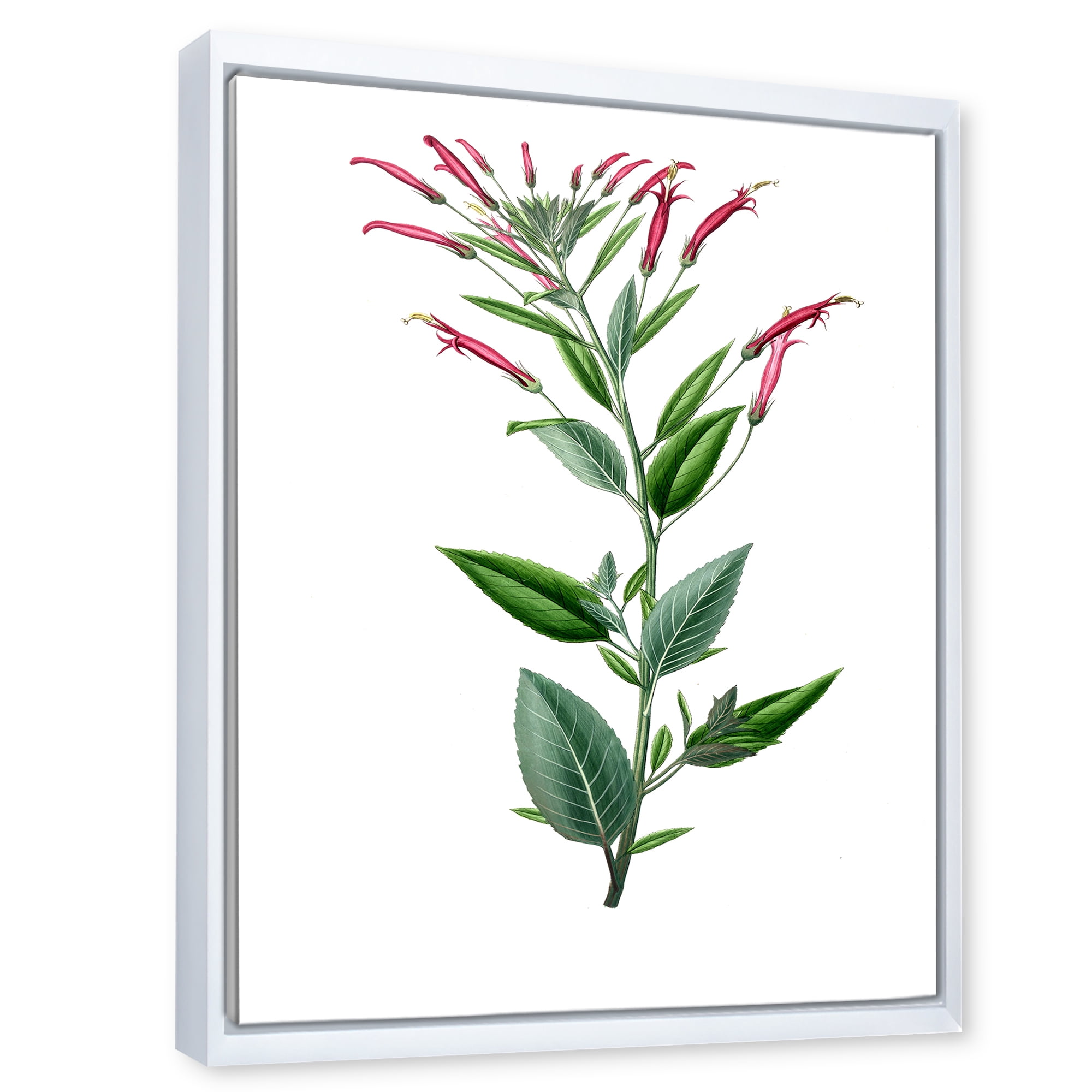Ancient American Flora III 12 in x 20 in Framed Painting Canvas Art Print, by Designart