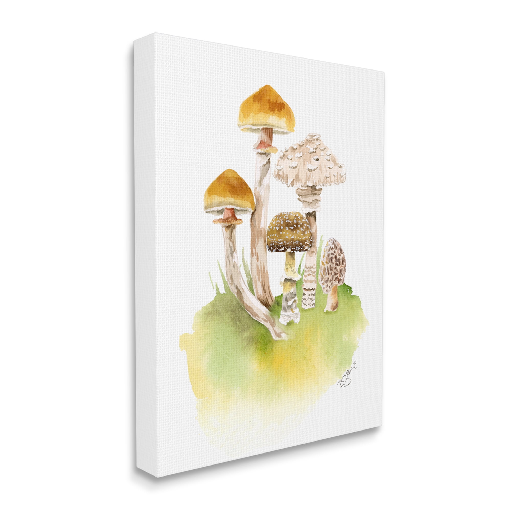 Stupell Industries Sprouting Brown Mushrooms Botanical & Floral Painting Gallery Wrapped Canvas Art Print Wall Art, 16 x 20