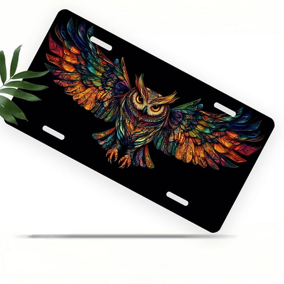 License Plate, Colorful Owl Decorative Front,Personalized Stainless Steel License Plate Cover For Men Women,12.2" X 6.2"
