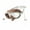 brown, variant on Kid Swimming Goggles for Kids 3-16 Wide View Frogs Resistant Swim Goggles with Earplugs Water Resistant Swim Goggles