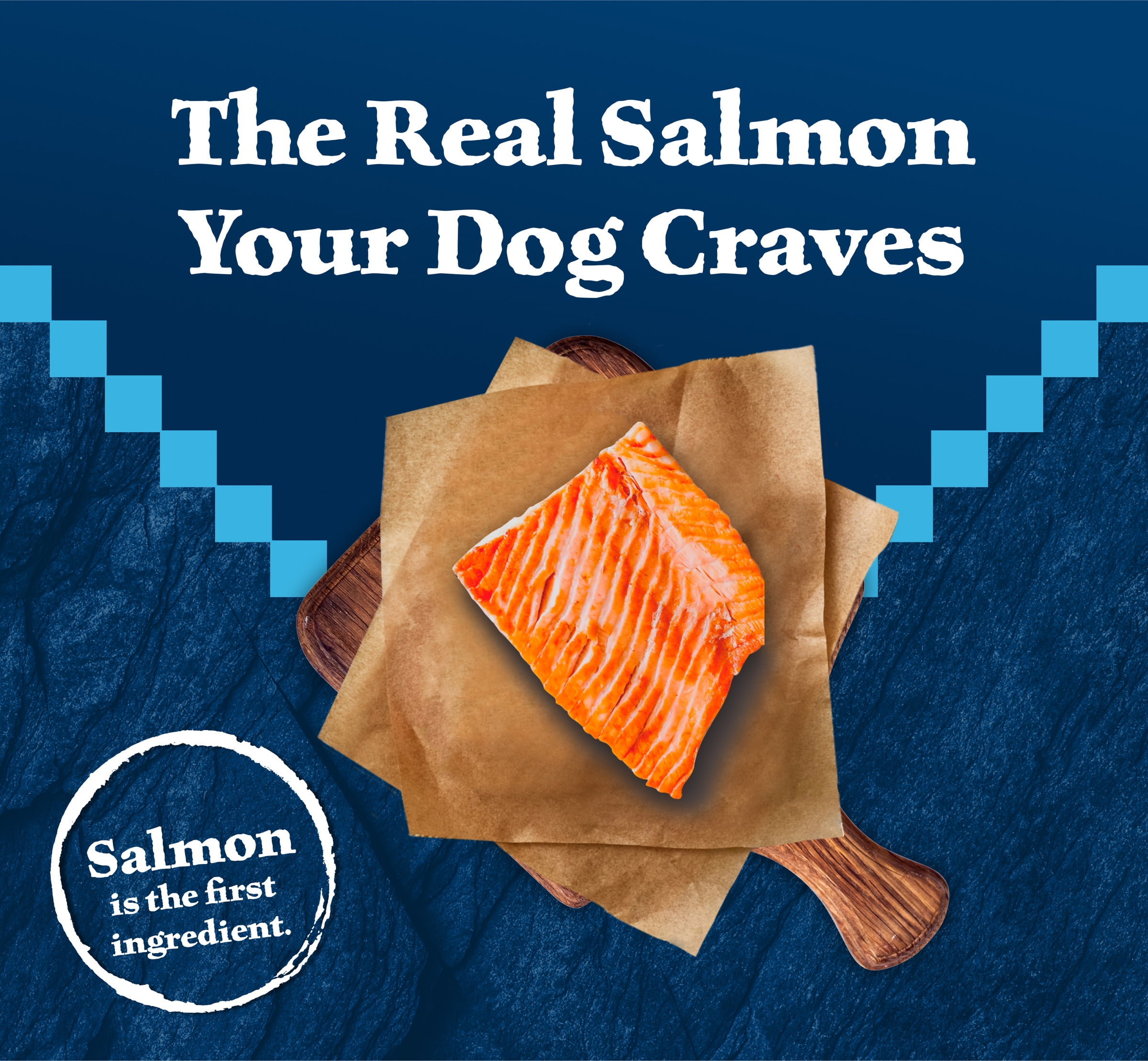 Blue Buffalo Wilderness Natural High-Protein Adult Dog Dry Food, Salmon Recipe, 4.5-lb.
