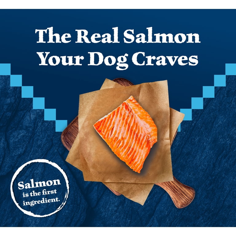 High-Protein Salmon Dry Dog Food for Adults photo 3
