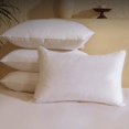 thumbnail image 1 of Almohada estándar BHZ con plumas de ganso, juego de 4 unidades, color blanco, 1 of 9